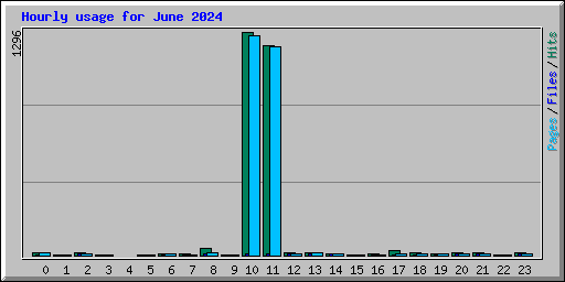 Hourly usage for June 2024