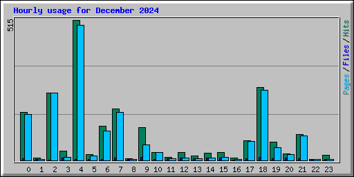 Hourly usage for December 2024