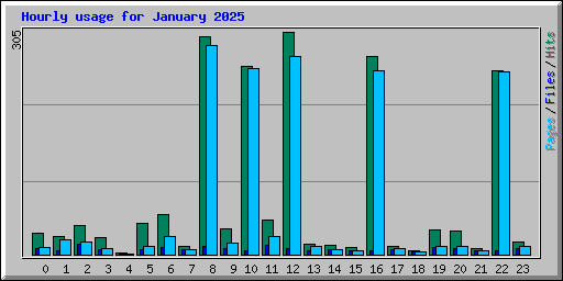 Hourly usage for January 2025