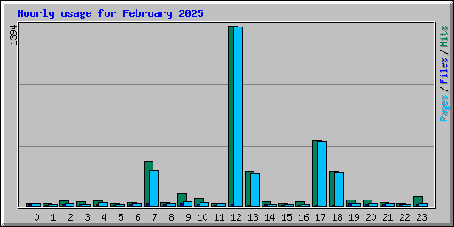 Hourly usage for February 2025